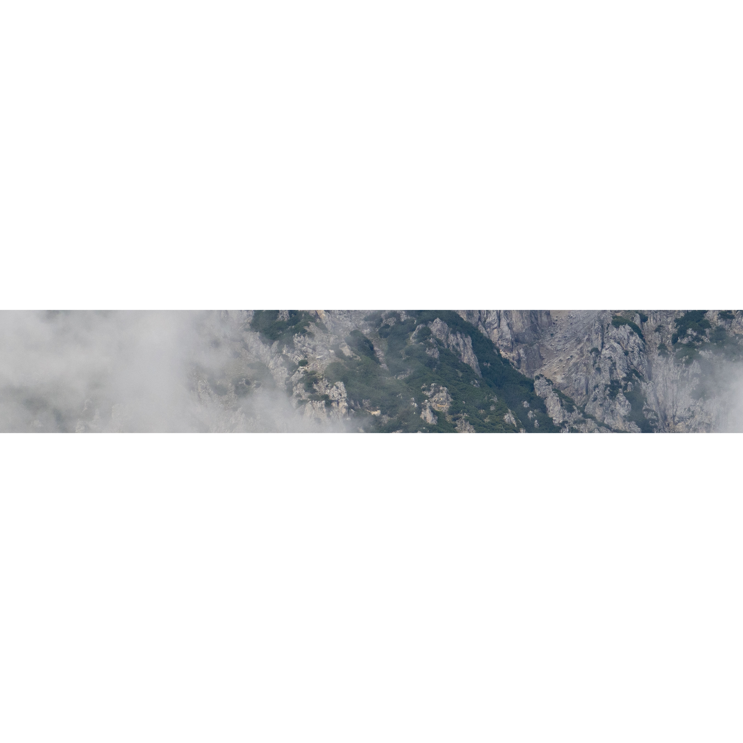 Gaze Dress von Lena Hoschek